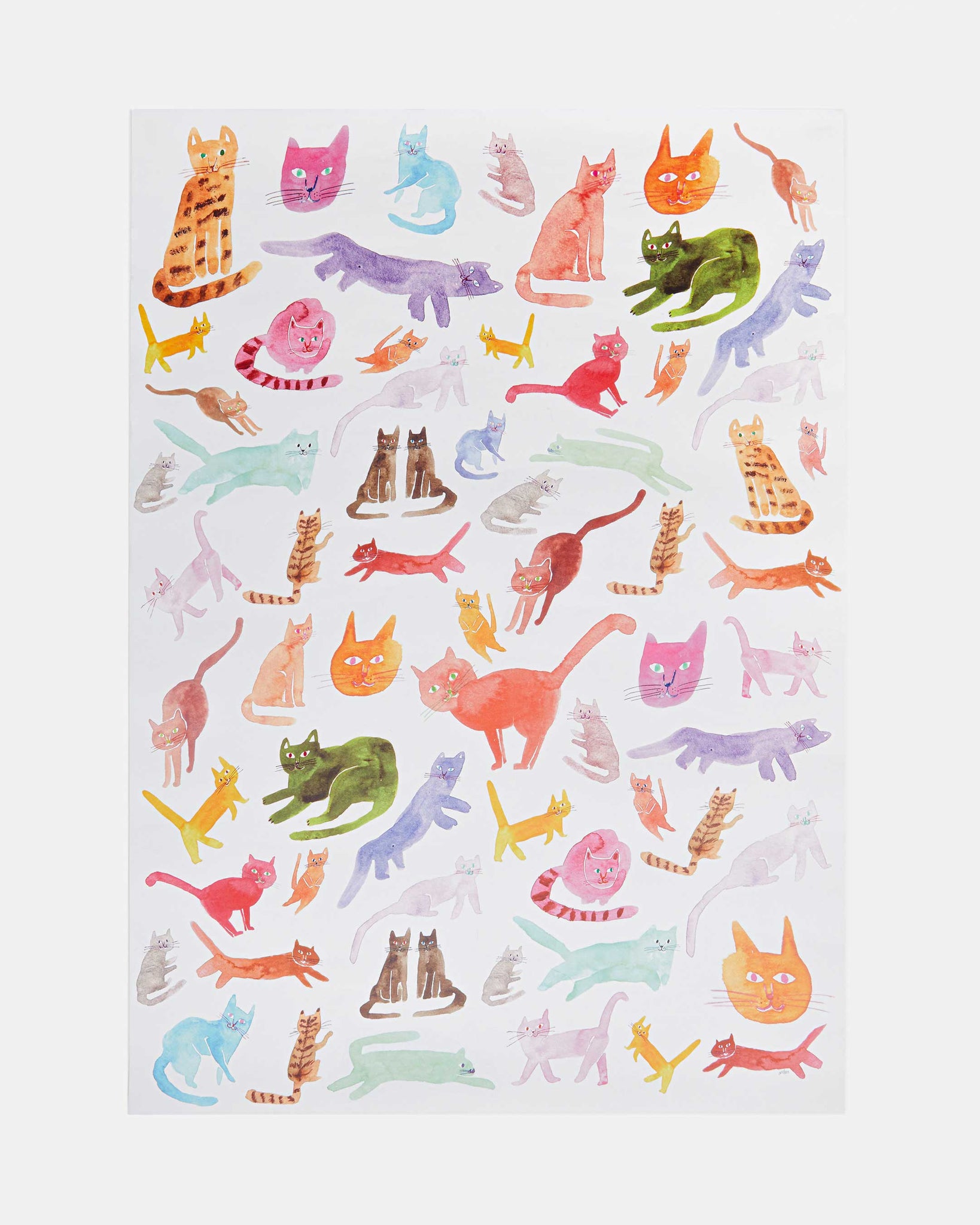 Colorful Cats Wrap & Poster