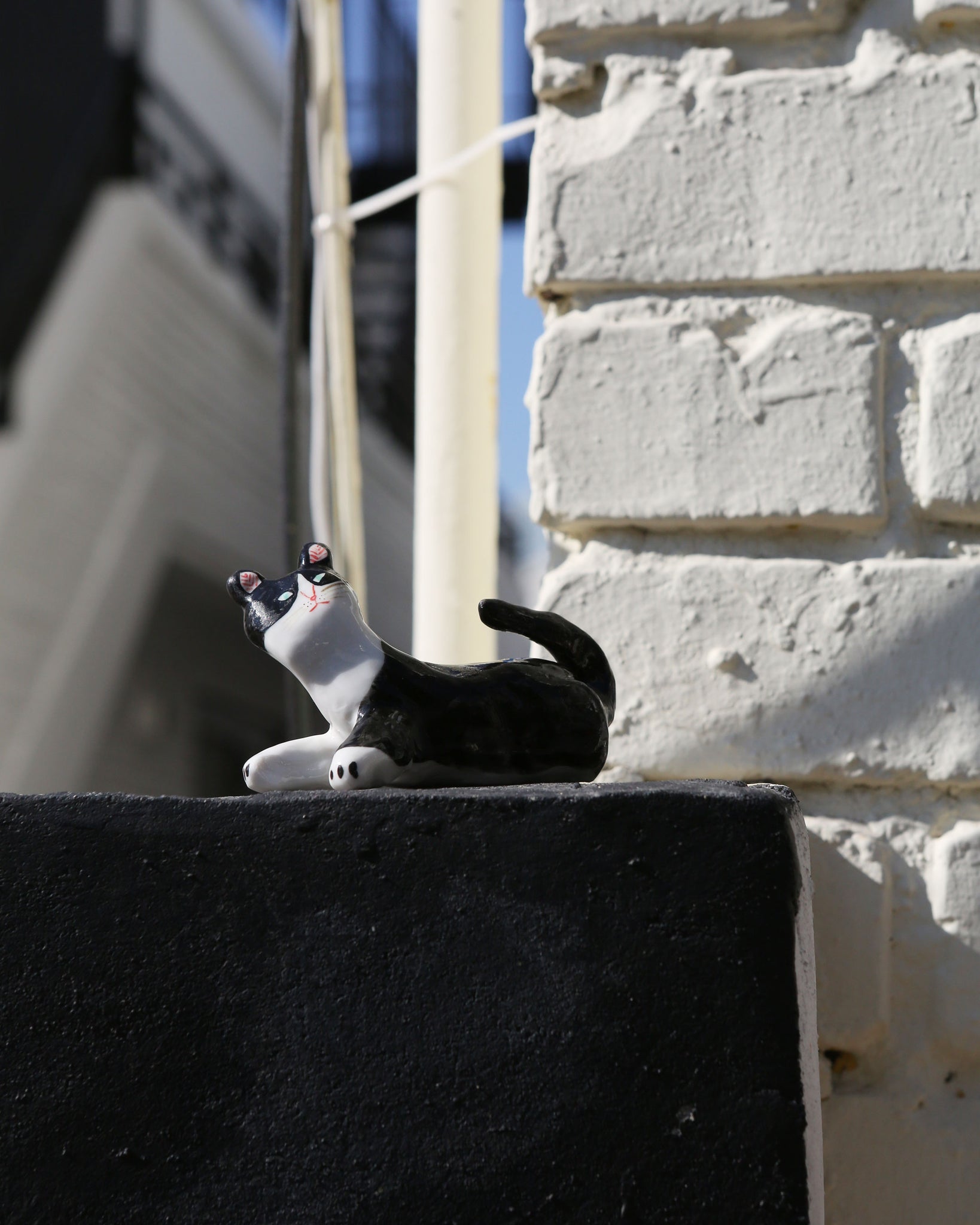 Tuxedo Cat Mask & Ring Holder